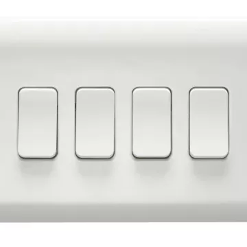  4G 2W SWITCH